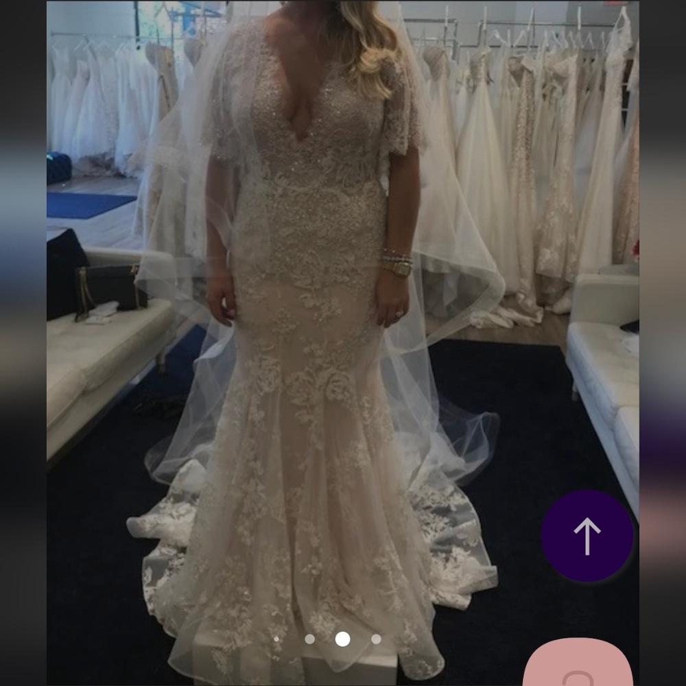 Marchesa Essence Blush Elegant Lace Wedding Gown - Picture 4 of 17